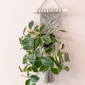 Leafy Plant Hanger